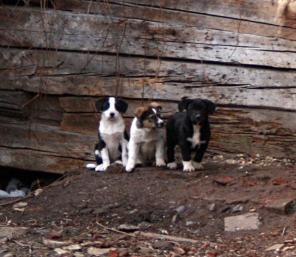 ����� - �������� ��� ������ �����