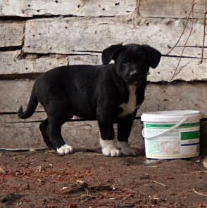 ����� - �������� ��� ������ �����