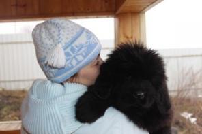 ��������� ����� ���������� �������