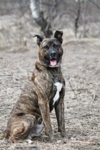 �������� ������� ����� �������� - � ���