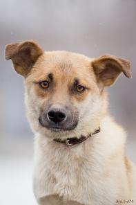 ��������� ������� ���� � ���