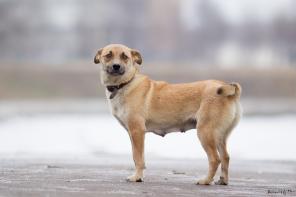 ��������� ������� ���� � ���