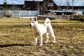 ������������ ����� �����