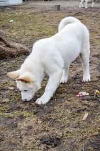 ������������ ����� �����