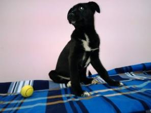 ���� - ������ ������ � ����� �������� - � ���