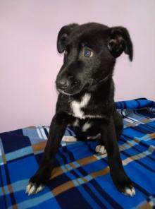 ���� - ������ ������ � ����� �������� - � ���