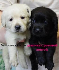 ����� ��������� ���������