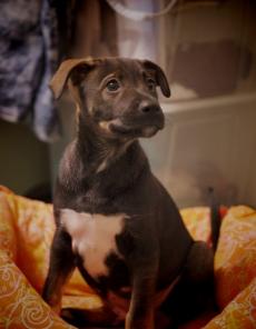 ���� ������ ��� ��������� �����