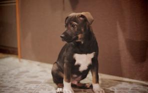 ���� ������ ��� ��������� �����