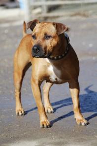 ������� ��������� - � ������ ����