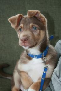 ������������ ���������� ����� - � ���