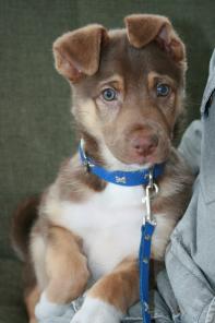 ������������ ���������� ����� - � ���