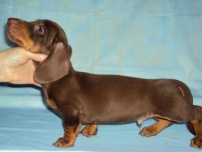 ����� ����� ����������� ������ -�������