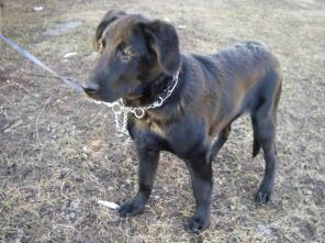 ����� ��������� ������ � ������ � ���.