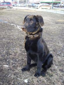 ����� ��������� ������ � ������ � ���.