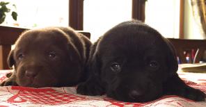 ������������ �������� ������!