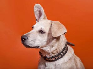 ����� ������ ����� ��������� � ��� � ������ ����