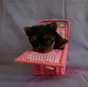 ����� �������� ����-������� ������ ��������!