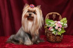 ����� �������� ����-������� ������ ��������!