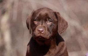 ����� ��������� ���� ������� �� ���������