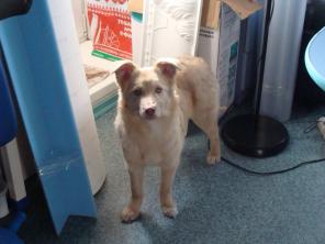 ����� �����