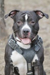 �������� ������ ������� - � ������ ����