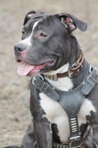 �������� ������ ������� - � ������ ����