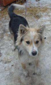 ������� �� ������