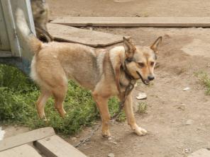 ������� �� ������