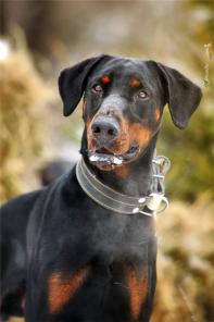 ������� �������� ���� � ���.