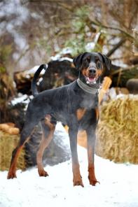 ������� �������� ���� � ���.