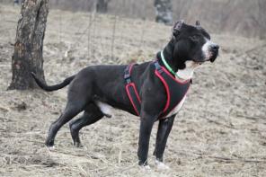 �������� ������� - � ������ ����