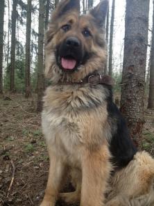 �������� ������� ����� ����� ������ ������ �� ���)))