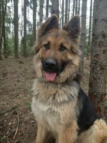 �������� ������� ����� ����� ������ ������ �� ���)))