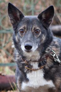 ������� � ����� ���� ���