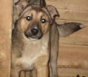 ������� ����� �� ������