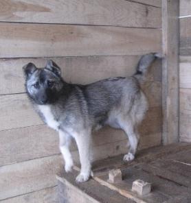 ������� ����� �� ������