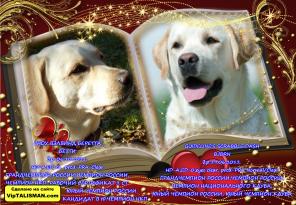 �������������� ������ ���������