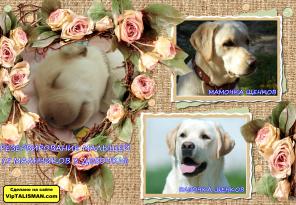 �������������� ������ ���������