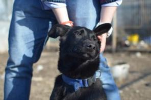 ����� �����, � ������ ���� 4 ������