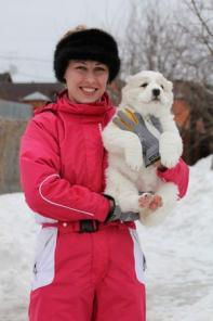 ����� ������ �� ���������