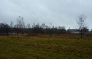 30 соток, на 1-ой береговой Федоровского залива