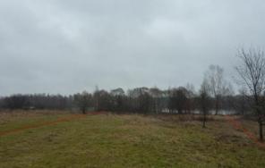 30 соток, на 1-ой береговой Федоровского залива