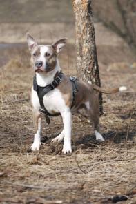 �������������� ������� - � ������ ����