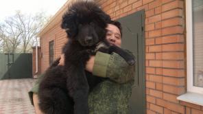 ������ ����������� ������� - ������.