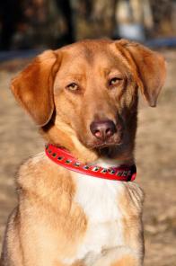 �����, �������� ������� ������ � ���