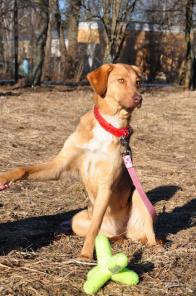 �����, �������� ������� ������ � ���