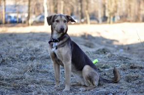 ������, �������� ����������� ������ � ���