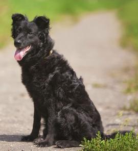 ��������-���������� � ������ ����!