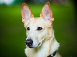 ������� ���-�������� ��� ���������� ������ � ���